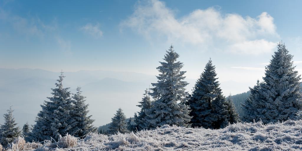 Penzion Ladoven Skvela Kuchyna A Rodinna Atmosfera Martin Exterior photo